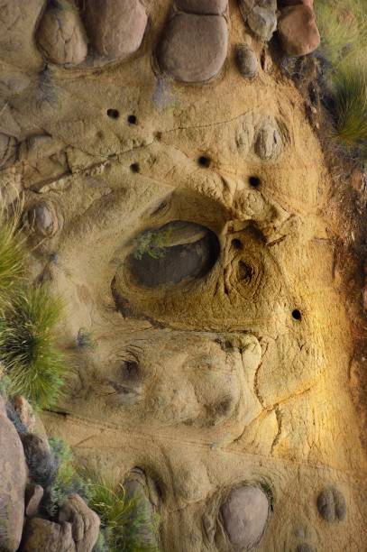 istock Lesotho Monster Animal Rock Face 1302286791