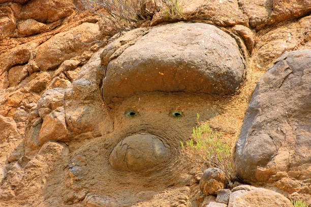 Well, you would of taken this too! Looks like a cartoon character just waiting to escape being bound to the mountain for millions of years.