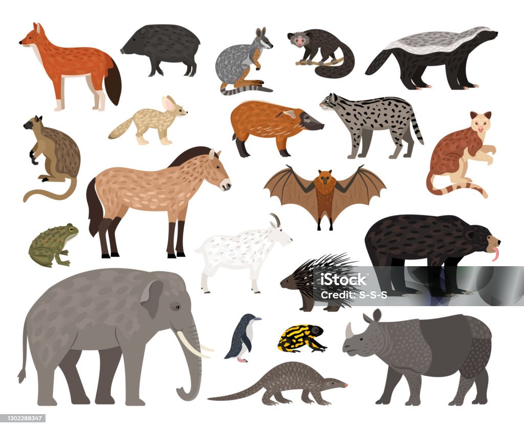 Bộ Sưu Tập Nhân Vật Savannah Hình Ảnh Hoạt Hình Của Sinh Vật Hoang ...