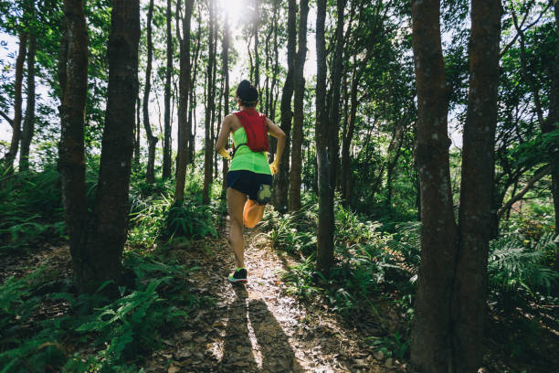 หญิงสาววิ่งเทรลวิ่งในป่าเขตร้อนพระอาทิตย์ขึ้น - cross country running ภาพสต็อก ภาพถ่ายและรูปภาพปลอดค่าลิขสิทธิ์