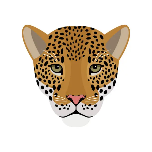 Vector illustration of Jaguar head. Cartoon portrait of redhead beast of wildlife, symbol of hunting