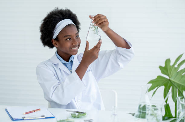 African American young girl hold and look to glass flask containing piece of plant inside and also smile with happy emotion after finish experiment African American young girl hold and look to glass flask containing piece of plant inside and also smile with happy emotion after finish experiment in laboratory or classroom. school science project stock pictures, royalty-free photos & images