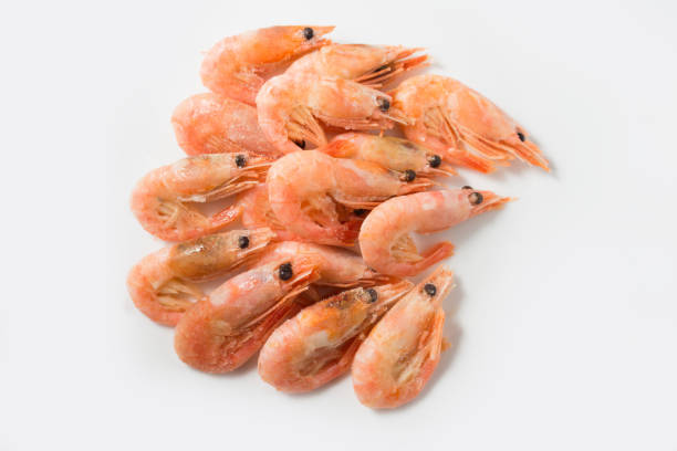 istock boiled frozen shrimps on a white background 1302291484