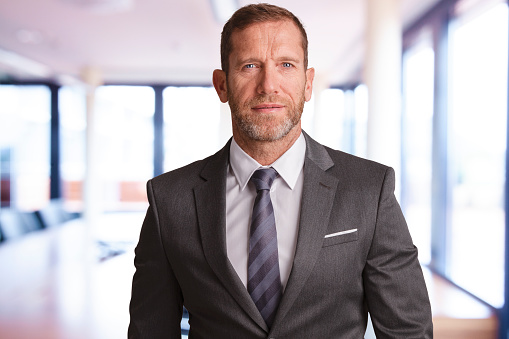 Portrait shot of an executive businessman wearing suit and tie while standing at the office.