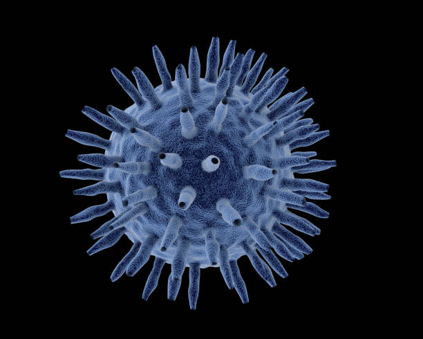 istock Coronavirus 2019-nCov novel corona virus concept. 1302293837