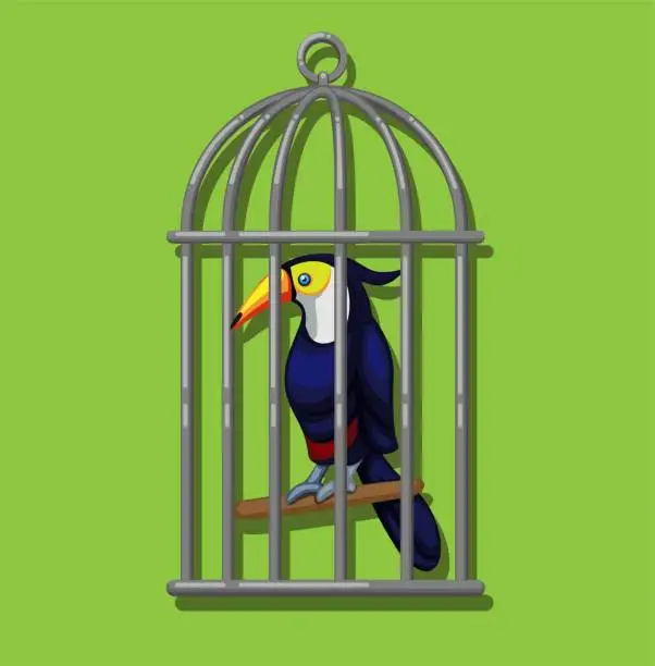 Vector illustration of Toucan in birdcage. Toucan (family Ramphastidae) exotic bird from american tropical forest illustration in cartoon vector