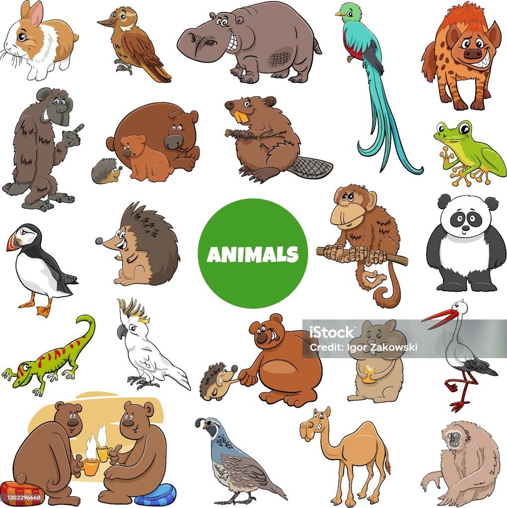 cartoon wild animal characters big set Cartoon illustration of funny wild animal characters big set Camel stock vector