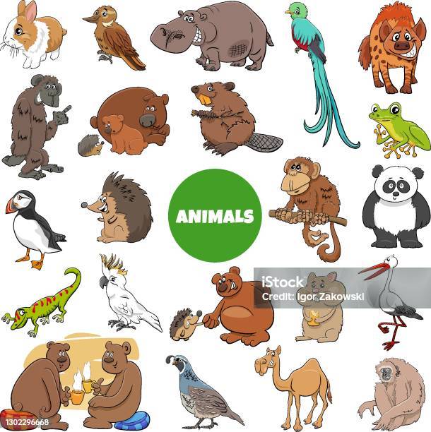 Cartoon Wild Animal Characters Big Set Stock Illustration - Download Image Now - Camel, Large, Monkey