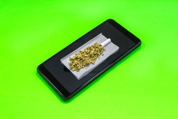 istock Concept of technology and cannabis: marijuana joint ready to roll on black smartphone isolated on green background. 1302297559