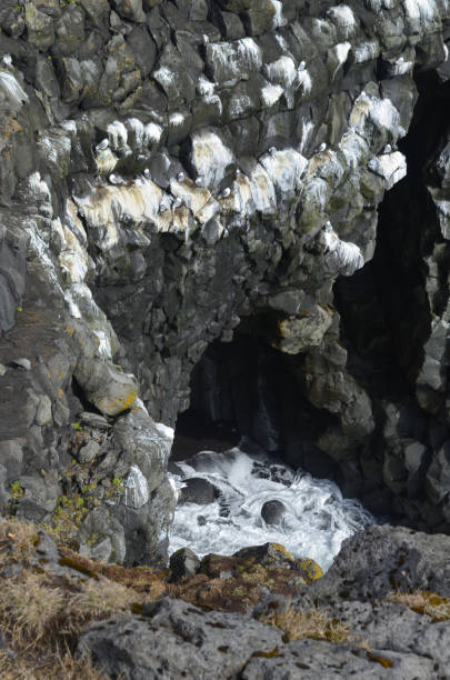 istock Stunning Scenic Views of Arnarstapi Iceland 1302303577