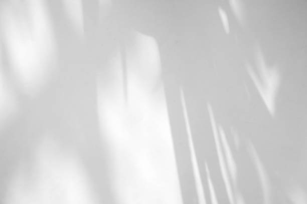 istock Leaves natural shadow overlay on white texture background, for overlay on product presentation, backdrop and mockup, summer seasonal concept 1302305121