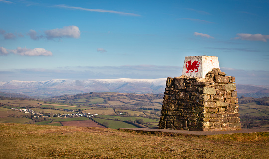 Welsh dragon monument with rural winter backdrop - Brecon, Wales