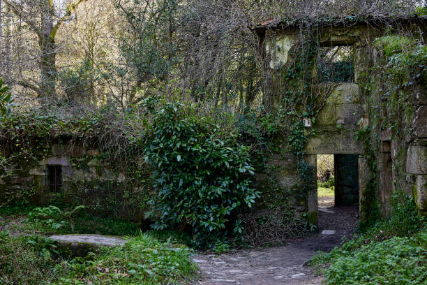 istock Old abandoned and ruined mill in a lush forest 1302306247