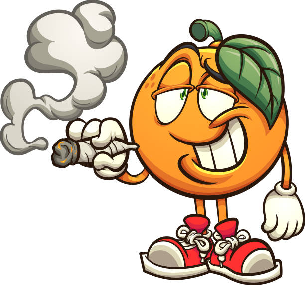 Smoking orange Orange smoking with big smile cartoon. Vector clip art illustration with simple gradients. All on a single layer. blunt stock illustrations