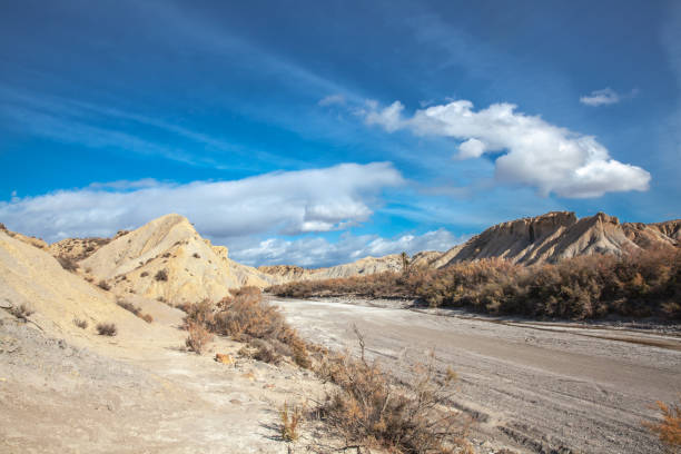 istock Rambla Landscape in the Tabernas desert Spain Andalusia 1302309063