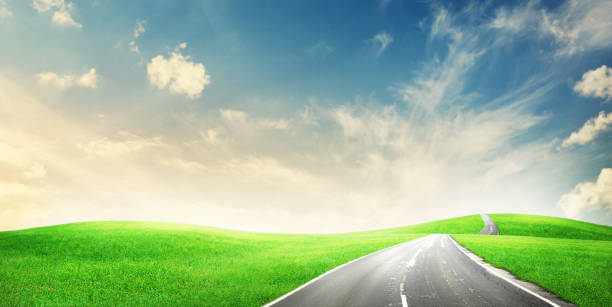istock Road through green grass field and sunny sky 1302309126