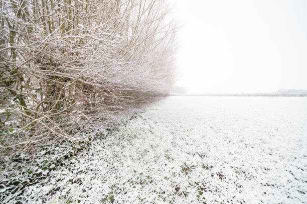 istock snow landscape in nature 1302309661
