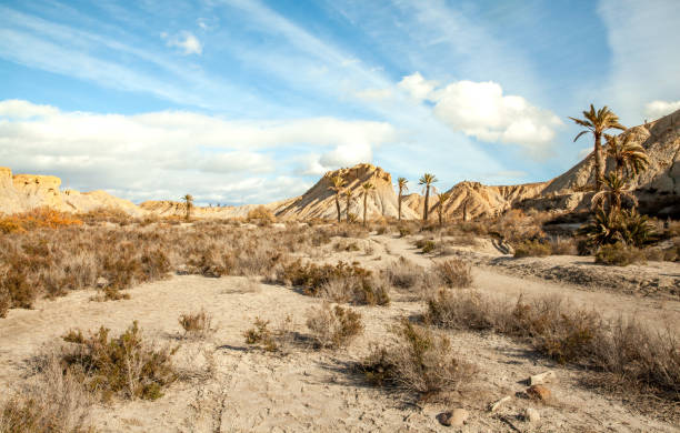 Hills landscape  of the Tabernas desert Almeria Spain stock photo