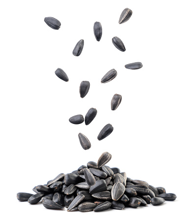 Sunflower seeds fall on a heap close-up on a white background. Isolated