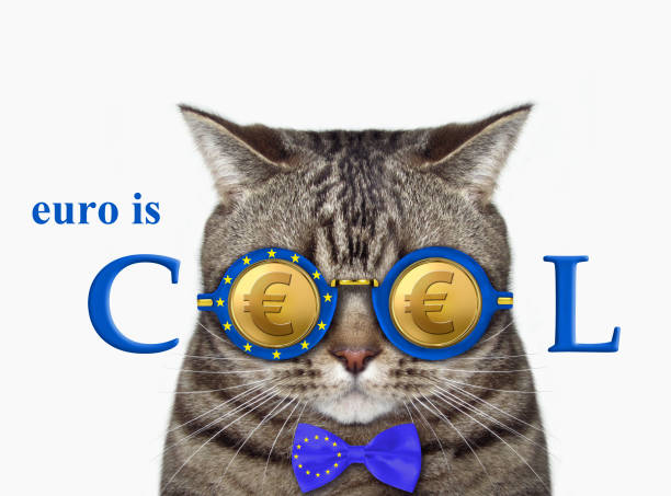 istock Cat in euro cool glasses 1302311109