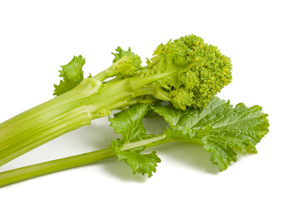 rabe frais de brocoli - broccoli raab photos et images de collection