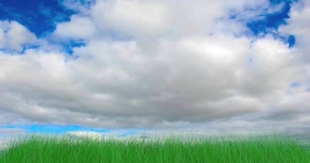 istock Waving Grass and a huge cloudy sky in 3d. 1302313466