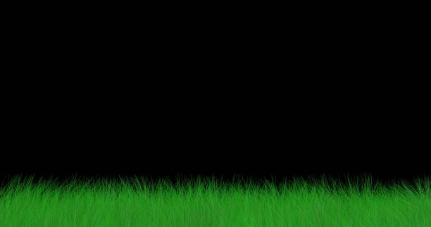 istock Waving Grass and a huge cloudy sky in 3d. 1302313538