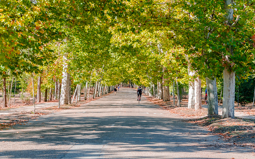 the Casa de Campo park in Madrid