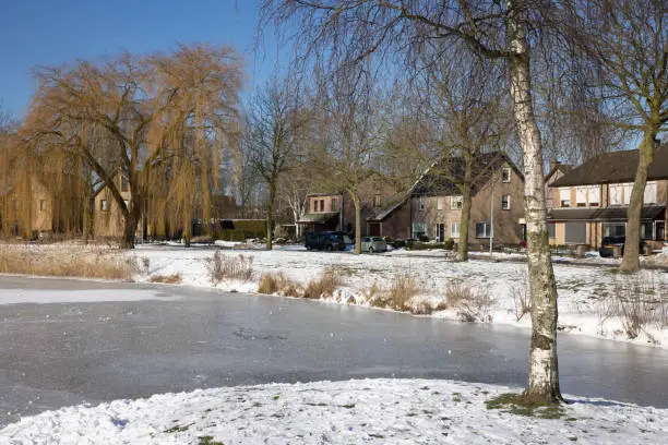 Snowy Winter landscape with weeping-willow and birch near canal in residential area of Urk, The Netherlands