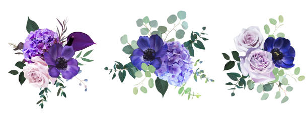 illustrazioni stock, clip art, cartoni animati e icone di tendenza di meraviglioso anemone viola, viola e bordeaux, malva polverosa e rosa lilla - lavender lavender coloured bouquet flower