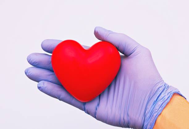 istock Red Heart in the hand 1302325937