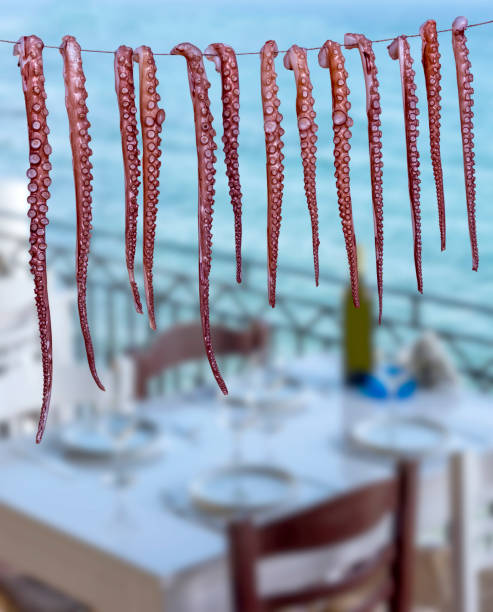 istock Octopus hanging on the rope in Mytilene, Greece 1302326751