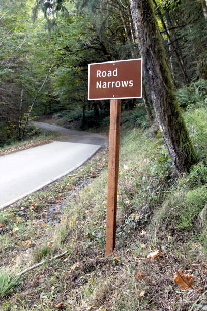 istock Road Narrows Sign On A Wilderness Road 1302326846