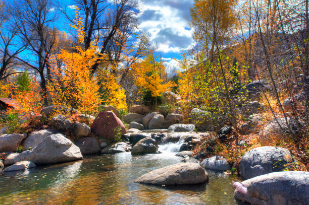 istock Small stream and fall colors-near Aspen Colorado 1302329911