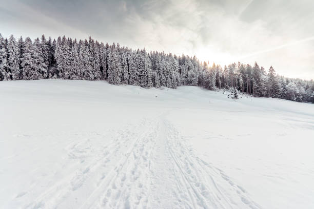 istock Snow covered landscape with a forest after a heavy snowfall 1302332067