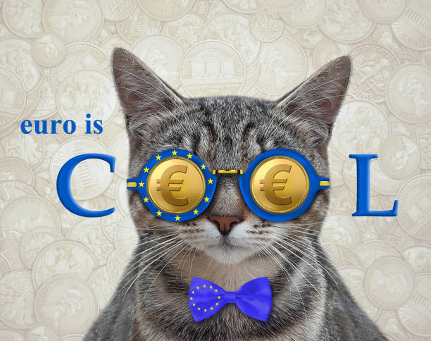 istock Cat gray in euro cool glasses 2 1302332318