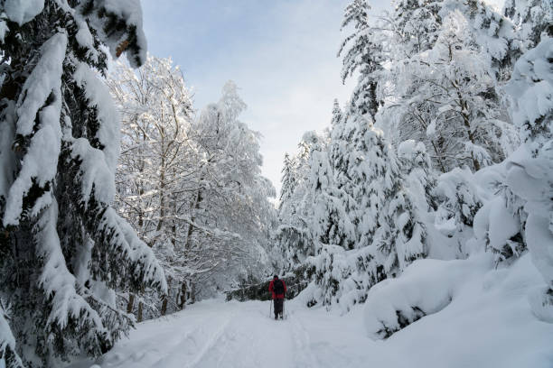 istock Mature men in winter forest 1302333035