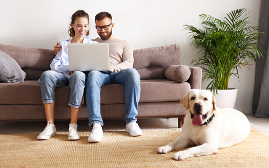 happy married couple relax while browsing the Internet on a laptop in a cozy living room with a dog at home
