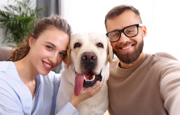 happy married couple  taking selfie with their favorite pet dog   at home - 16019 imagens e fotografias de stock