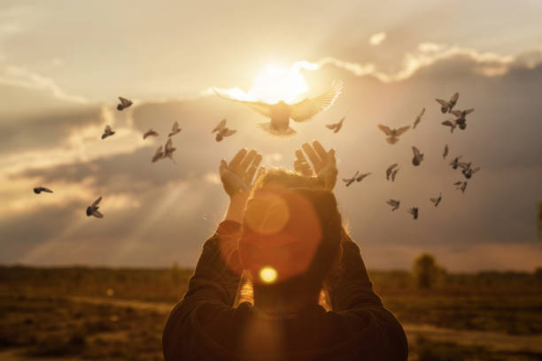 istock Doves fly into the woman hands . 1302337605