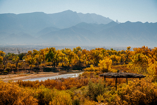 The fall colors of the cottonwood trees are seen on the sides of the Rio Grande River. The river begins in south-central Colorado and flows to the Gulf of Mexico. This scene shows a hazy cloud cover over the Sandia Mountains in Albuquerque, New Mexico.