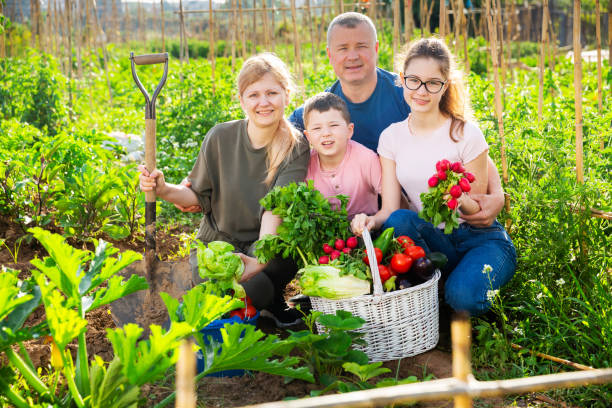 istock Family posing in garden with picked vegetables 1302338169