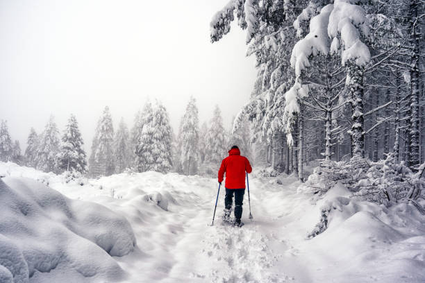 Man with snowshoes and a red jacket walking in the snow Man with snowshoes and a red jacket walking in the snow snowshoeing snow shoe red stock pictures, royalty-free photos & images