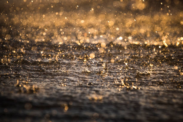 Rain droplets on surface of water in golden light