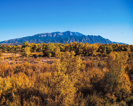 The autumn colors are prevalent on the hillside and The Sandia Mountain is in the background under the bright blue sky.