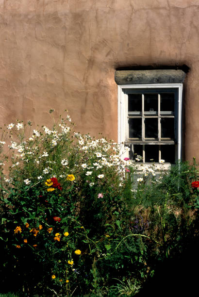 istock Flowers and Adobe -006 1302341217