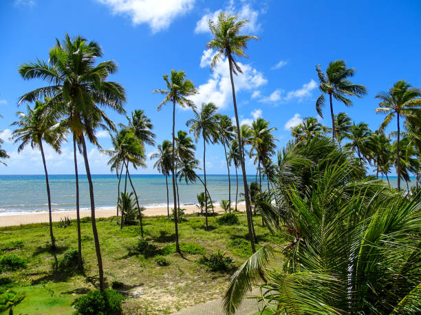 istock Tropical Beach - summer time (Paradise) 03 1302342018