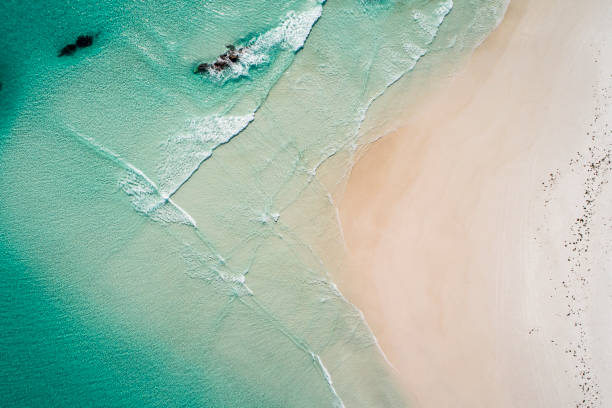 청록색 에메랄드 색의 물로 하얀 모래 해변을 깨는 깨끗한 파도 - waters edge nature water wave 뉴스 사진 이미지