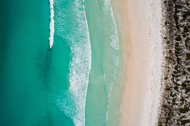istock Clean ocean waves breaking on white sand beach with turquoise emerald coloured water 1302344612