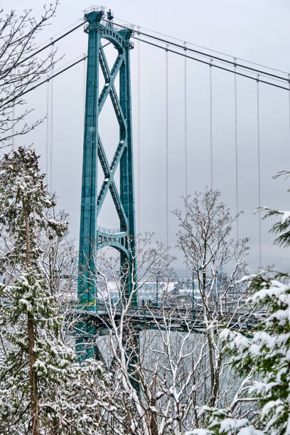 istock Suspension bridge over the ocean bay in winter 1302344792